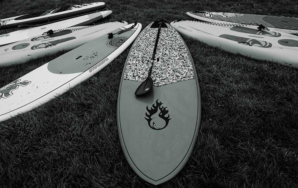 Paddleboards lined up